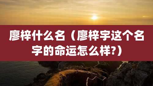 廖梓什么名(廖梓宇这个名字的命运怎么样?)