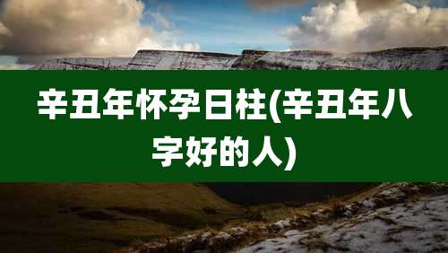 辛丑年怀孕日柱(辛丑年八字好的人)