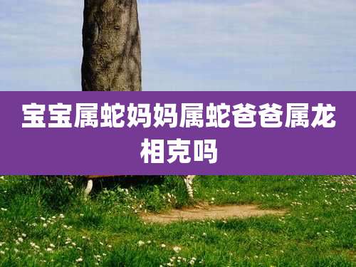 宝宝属蛇妈妈属蛇爸爸属龙相克吗