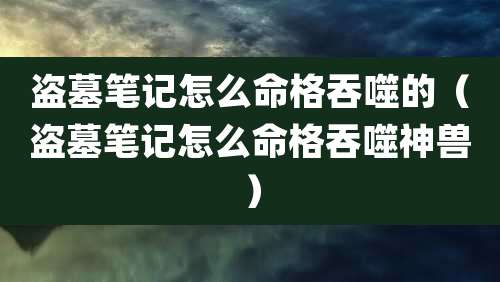 盗墓笔记怎么命格吞噬的(盗墓笔记怎么命格吞噬神兽)
