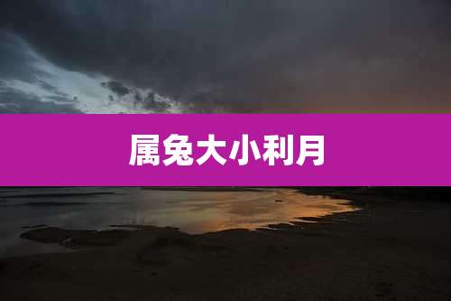 属兔大小利月