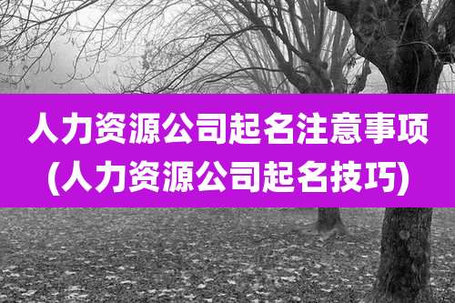 人力资源公司起名注意事项(人力资源公司起名技巧)