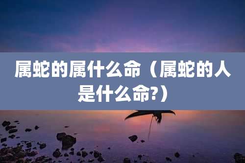 属蛇的属什么命（属蛇的人是什么命?）
