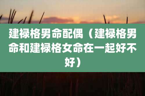 建禄格男命配偶(建禄格男命和建禄格女命在一起好不好)