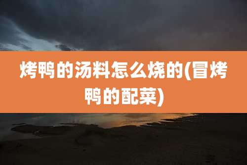 烤鸭的汤料怎么烧的(冒烤鸭的配菜)