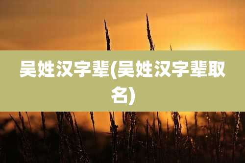 吴姓汉字辈(吴姓汉字辈取名)