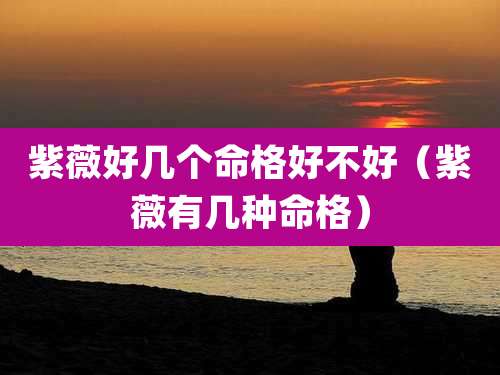 紫薇好几个命格好不好（紫薇有几种命格）