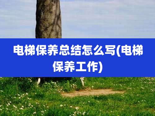 电梯保养总结怎么写(电梯保养工作)