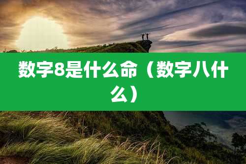 数字8是什么命（数字八什么）