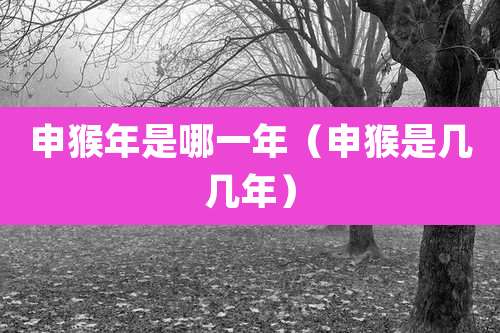 申猴年是哪一年（申猴是几几年）