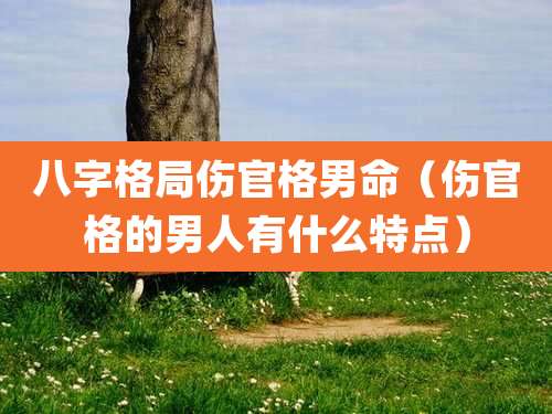 八字格局伤官格男命（伤官格的男人有什么特点）