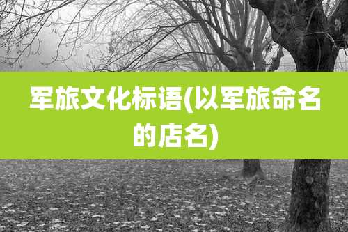 军旅文化标语(以军旅命名的店名)