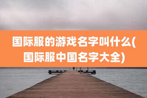 国际服的游戏名字叫什么(国际服中国名字大全)