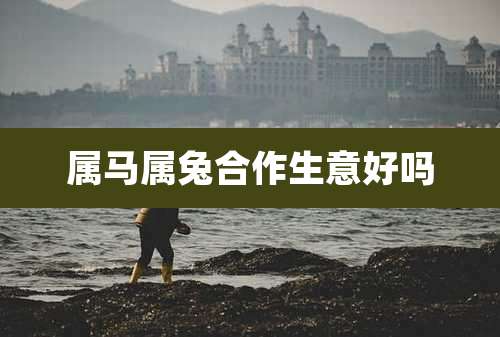 属马属兔合作生意好吗