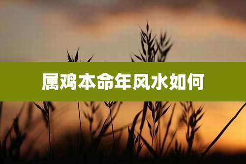 属鸡本命年风水如何