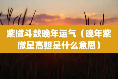 紫微斗数晚年运气(晚年紫微星高照是什么意思)