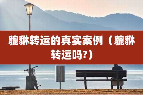 貔貅转运的真实案例(貔貅转运吗?)
