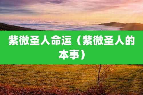 紫微圣人命运（紫微圣人的本事）