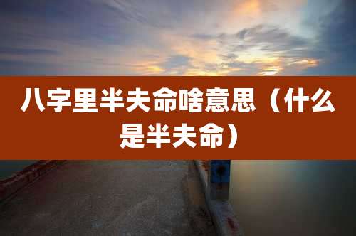 八字里半夫命啥意思（什么是半夫命）