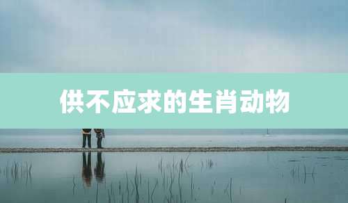 供不应求的生肖动物