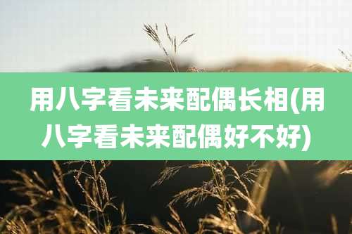 用八字看未来配偶长相(用八字看未来配偶好不好)