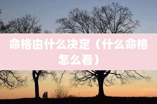 命格由什么决定(什么命格怎么看)
