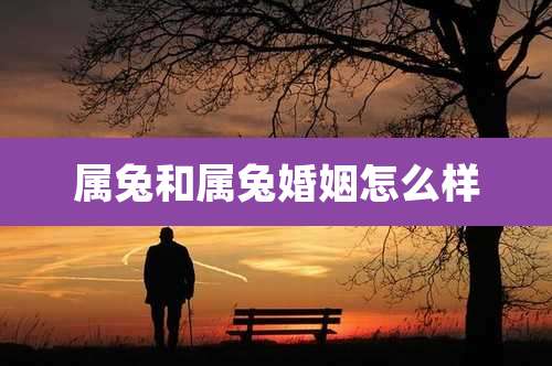 属兔和属兔婚姻怎么样
