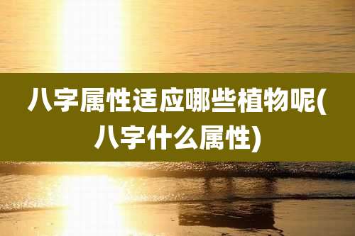 八字属性适应哪些植物呢(八字什么属性)