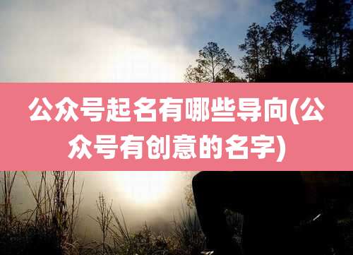 公众号起名有哪些导向(公众号有创意的名字)