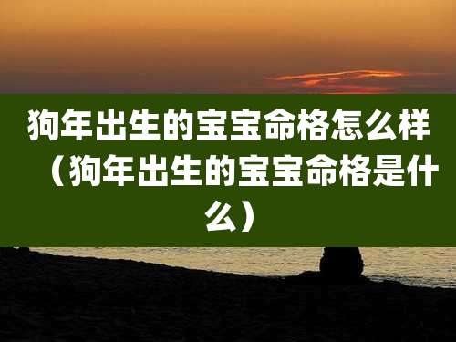 狗年出生的宝宝命格怎么样(狗年出生的宝宝命格是什么)