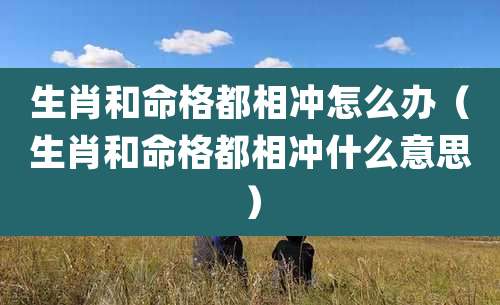 生肖和命格都相冲怎么办(生肖和命格都相冲什么意思)
