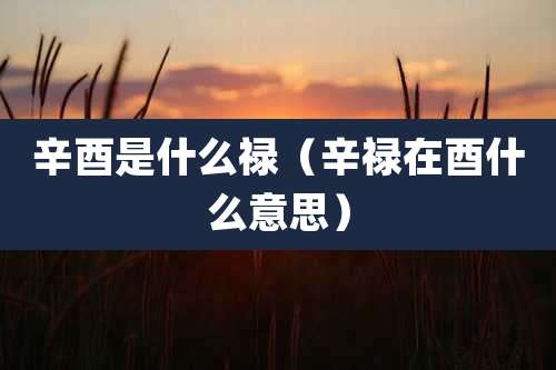 辛酉是什么禄(辛禄在酉什么意思)