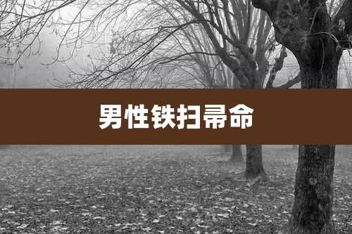 男性铁扫帚命