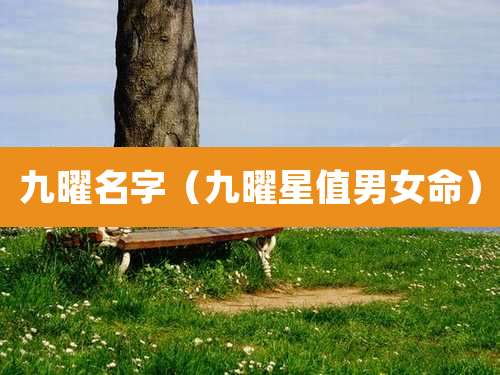 九曜名字(九曜星值男女命)