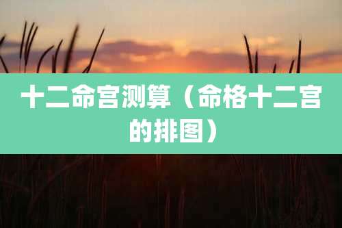 十二命宫测算(命格十二宫的排图)