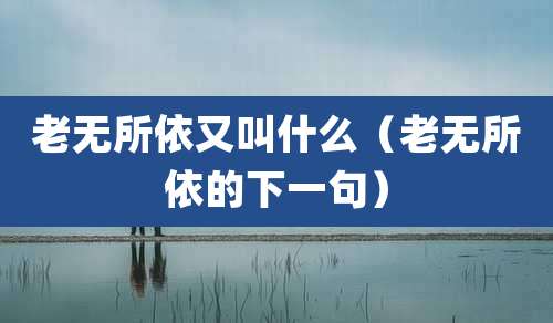 老无所依又叫什么（老无所依的下一句）