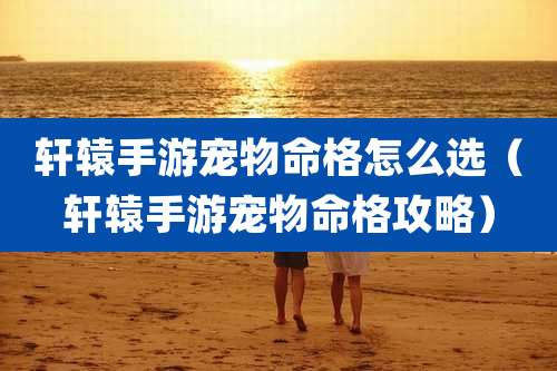 轩辕手游宠物命格怎么选(轩辕手游宠物命格攻略)