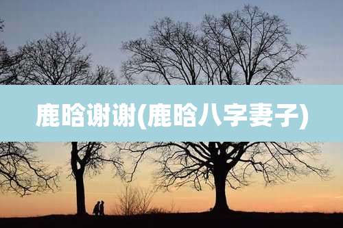 鹿晗谢谢(鹿晗八字妻子)