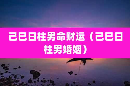 己巳日柱男命财运(己巳日柱男婚姻)