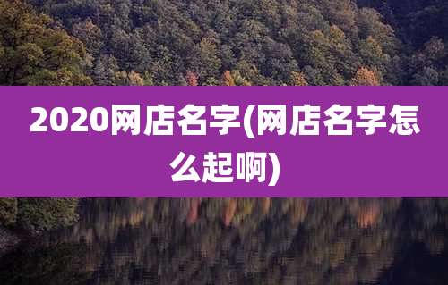2020网店名字(网店名字怎么起啊)