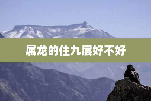 属龙的住九层好不好