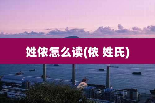 姓侬怎么读(侬 姓氏)