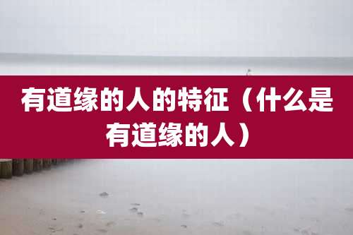 有道缘的人的特征(什么是有道缘的人)