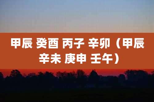 甲辰 癸酉 丙子 辛卯（甲辰 辛未 庚申 壬午）