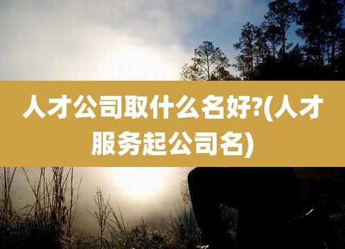 人才公司取什么名好?(人才服务起公司名)