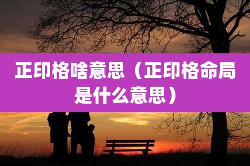 正印格啥意思(正印格命局是什么意思)