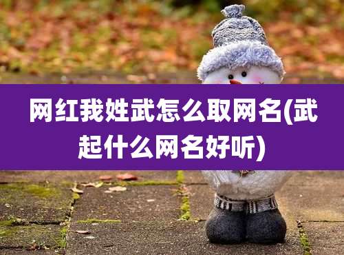 网红我姓武怎么取网名(武起什么网名好听)
