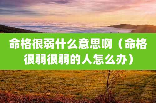 命格很弱什么意思啊（命格很弱很弱的人怎么办）