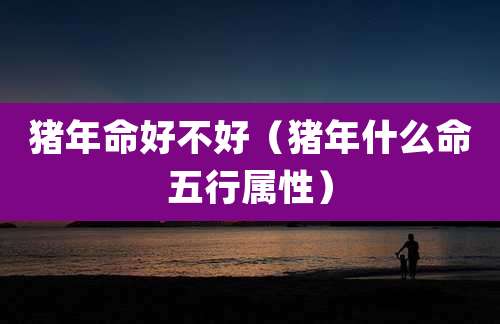 猪年命好不好（猪年什么命五行属性）