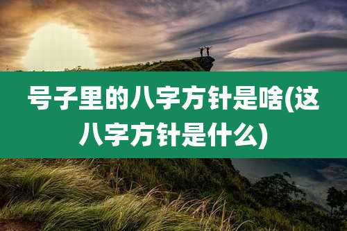号子里的八字方针是啥(这八字方针是什么)